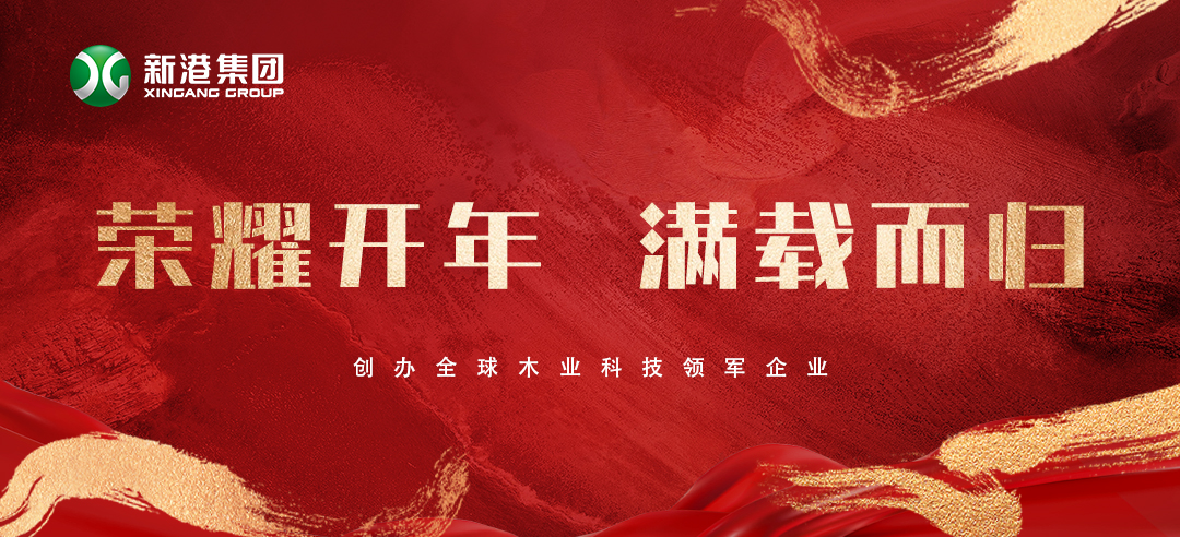 2025喜訊頻傳！新港集團榮膺多項大獎，再獲行業(yè)認可！